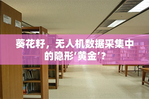 葵花籽，无人机数据采集中的隐形‘黄金’？