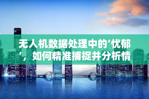 无人机数据处理中的‘忧郁’，如何精准捕捉并分析情绪化数据？