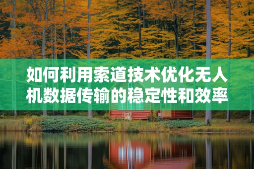 如何利用索道技术优化无人机数据传输的稳定性和效率？