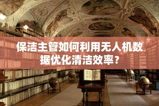保洁主管如何利用无人机数据优化清洁效率？