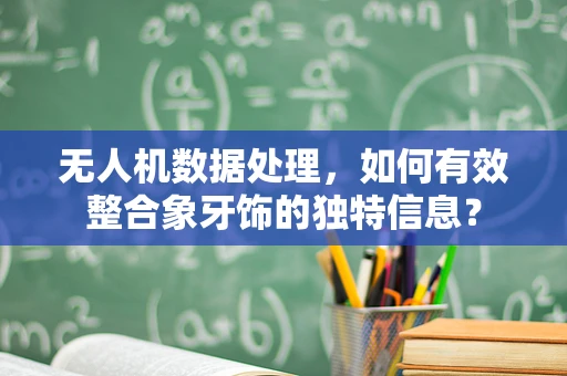 无人机数据处理，如何有效整合象牙饰的独特信息？