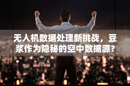 无人机数据处理新挑战，豆浆作为隐秘的空中数据源？