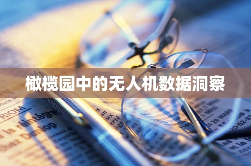 橄榄园中的无人机数据洞察