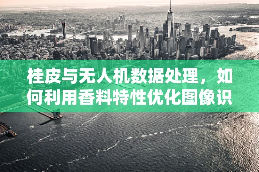 桂皮与无人机数据处理，如何利用香料特性优化图像识别？