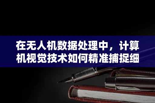 在无人机数据处理中，计算机视觉技术如何精准捕捉细节？