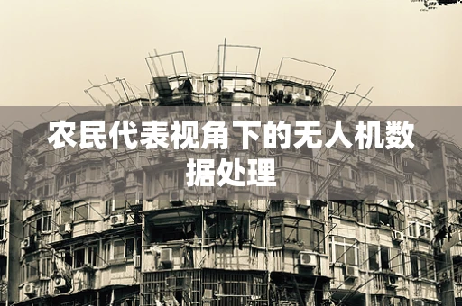 农民代表视角下的无人机数据处理