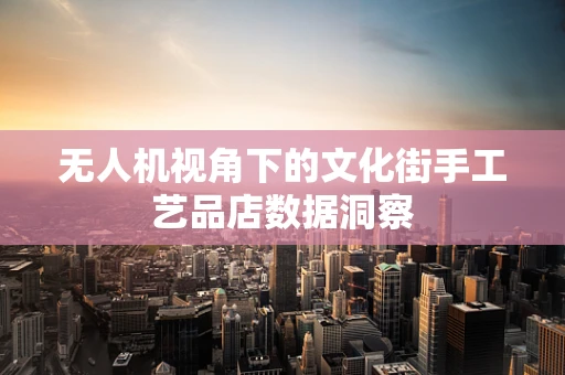 无人机视角下的文化街手工艺品店数据洞察
