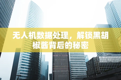 无人机数据处理，解锁黑胡椒酱背后的秘密