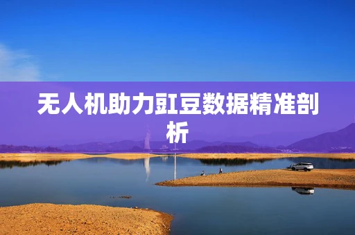 无人机助力豇豆数据精准剖析