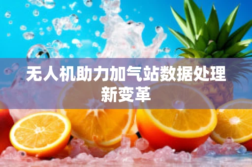 无人机助力加气站数据处理新变革