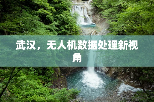 武汉，无人机数据处理新视角