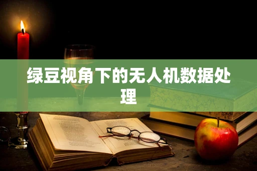 绿豆视角下的无人机数据处理