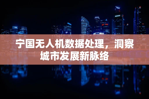 宁国无人机数据处理，洞察城市发展新脉络