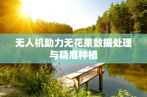 无人机助力无花果数据处理与精准种植