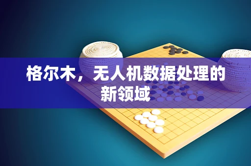格尔木，无人机数据处理的新领域