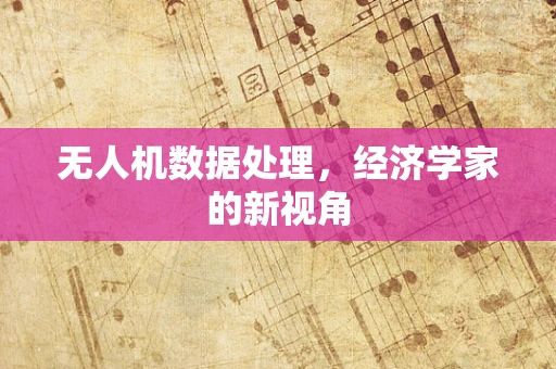 无人机数据处理，经济学家的新视角