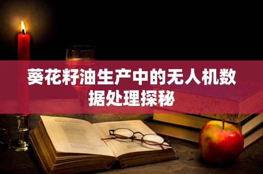 葵花籽油生产中的无人机数据处理探秘