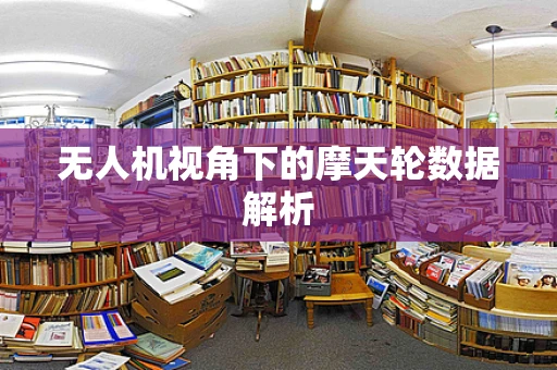 无人机视角下的摩天轮数据解析