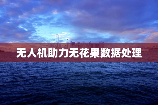 无人机助力无花果数据处理