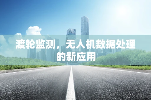 渡轮监测，无人机数据处理的新应用