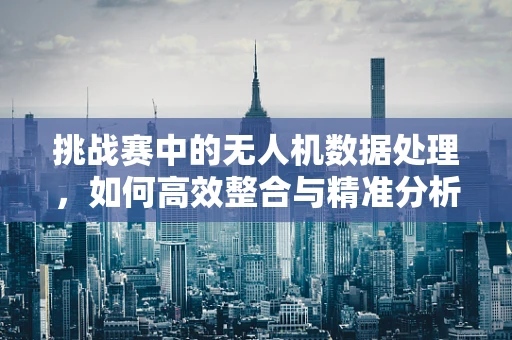 挑战赛中的无人机数据处理，如何高效整合与精准分析？