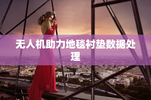 无人机助力地毯衬垫数据处理