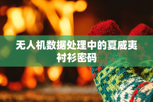 无人机数据处理中的夏威夷衬衫密码
