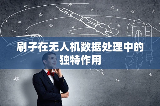 刷子在无人机数据处理中的独特作用
