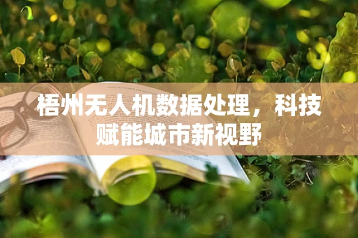 梧州无人机数据处理，科技赋能城市新视野