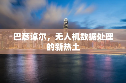 巴彦淖尔，无人机数据处理的新热土