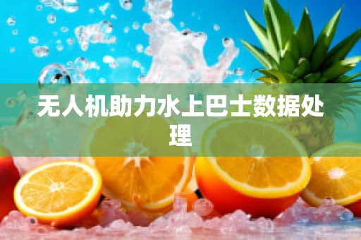 无人机助力水上巴士数据处理