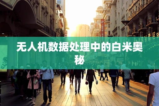 无人机数据处理中的白米奥秘