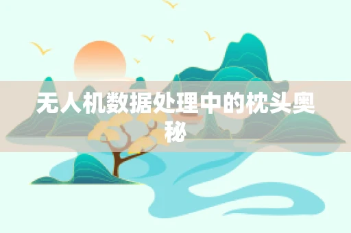 无人机数据处理中的枕头奥秘