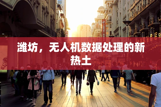 潍坊，无人机数据处理的新热土