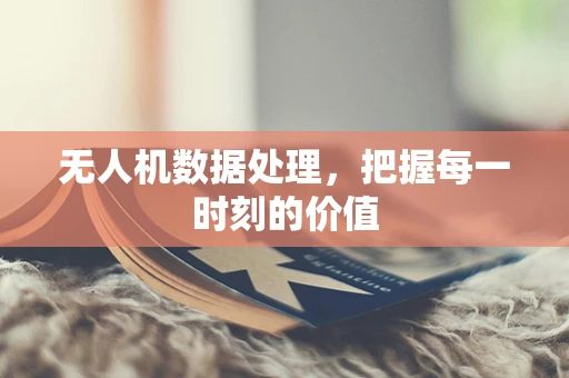 无人机数据处理，把握每一时刻的价值