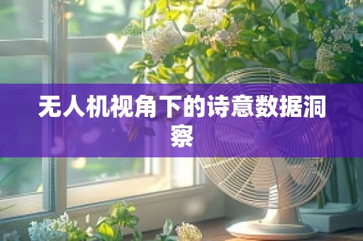 无人机视角下的诗意数据洞察