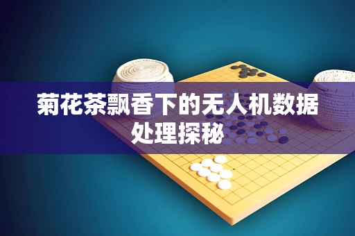 菊花茶飘香下的无人机数据处理探秘