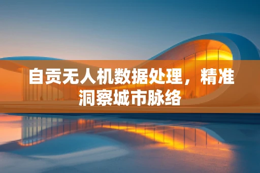 自贡无人机数据处理，精准洞察城市脉络