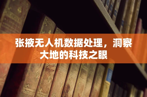 张掖无人机数据处理，洞察大地的科技之眼