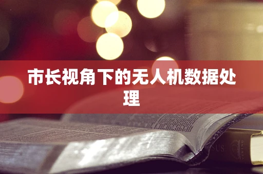 市长视角下的无人机数据处理