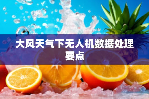 大风天气下无人机数据处理要点
