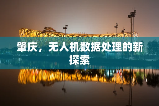 肇庆，无人机数据处理的新探索