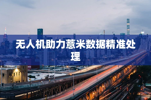 无人机助力薏米数据精准处理