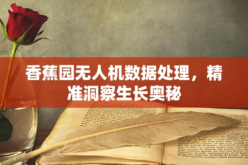 香蕉园无人机数据处理，精准洞察生长奥秘