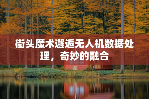 街头魔术邂逅无人机数据处理，奇妙的融合