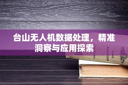 台山无人机数据处理，精准洞察与应用探索