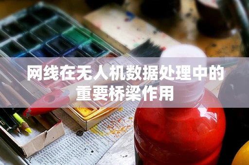 网线在无人机数据处理中的重要桥梁作用