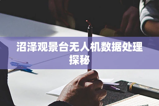 沼泽观景台无人机数据处理探秘