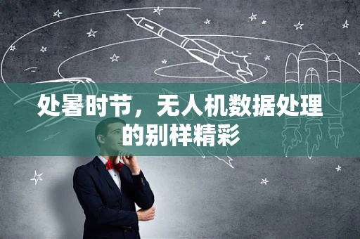 处暑时节，无人机数据处理的别样精彩