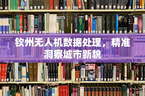 钦州无人机数据处理，精准洞察城市新貌